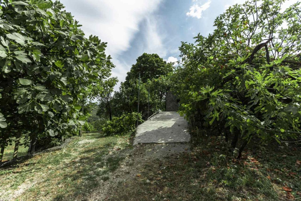 Appartamento Aria Cetinje Esterno foto